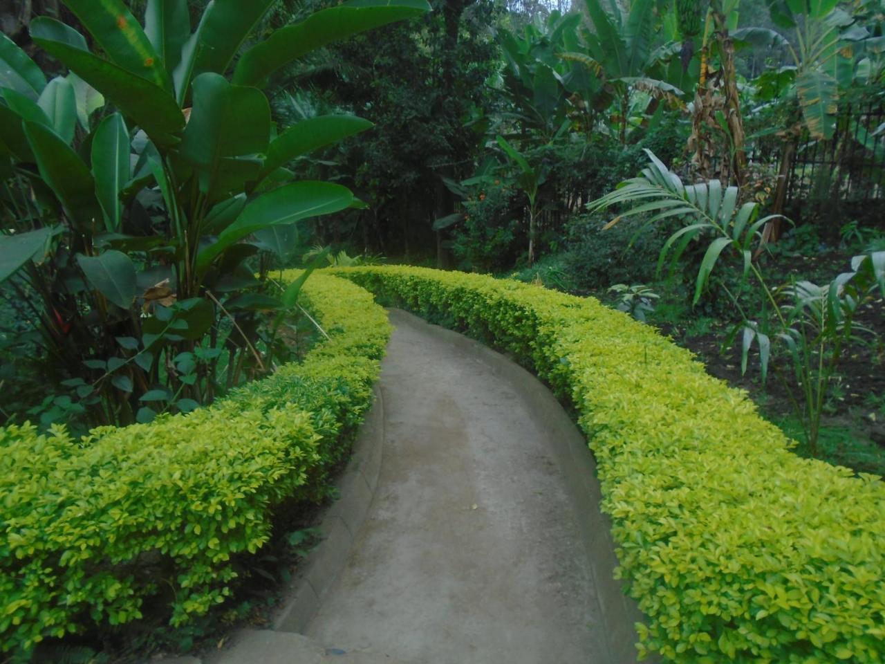Themi Valley Eco And Cultural Tourism Homestay Arusha Exteriér fotografie