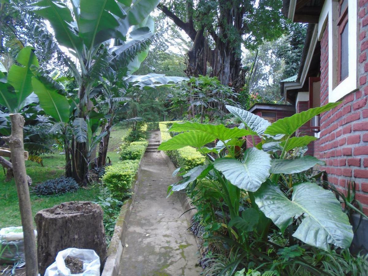Themi Valley Eco And Cultural Tourism Homestay Arusha Exteriér fotografie